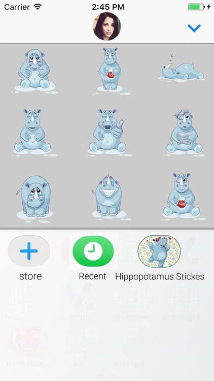 Hippo : Funny Stickers screenshot-3