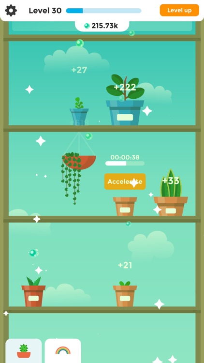 Terrarium ∙