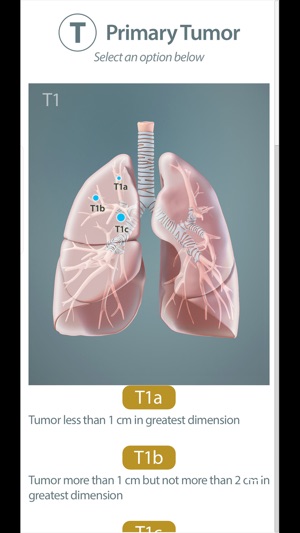 Surgical Anatomy of the Lung(圖4)-速報App