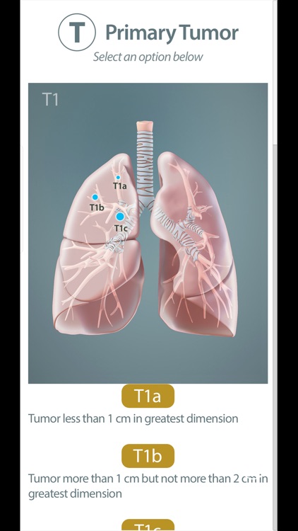 Surgical Anatomy of the Lung screenshot-3