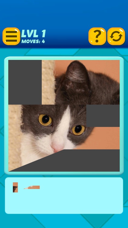 Kitty Puzzlegram screenshot-6