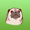 Pugmoji - Cute Pug Dog Sticker