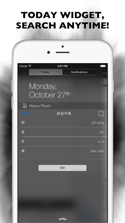 Hanyu Pinyin Dictionary Pro screenshot-4