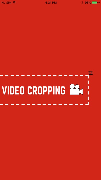Video Cropping