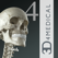 Essential Skeleton 4