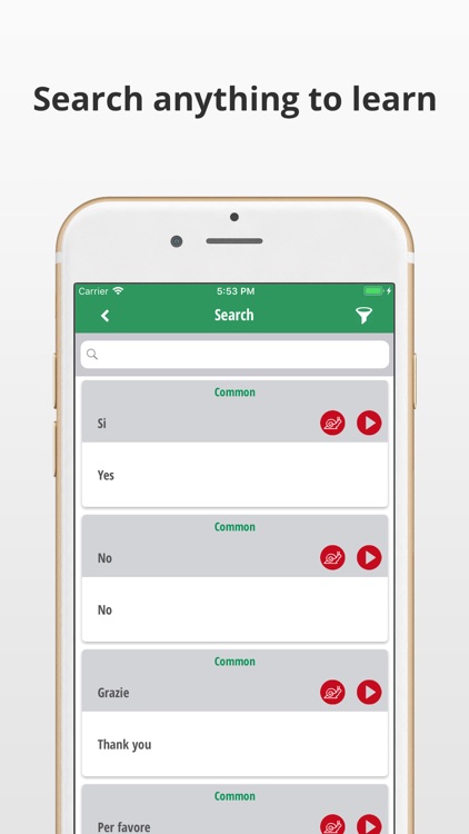 Learn Italian Language App screenshot-3