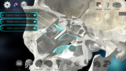 3D解剖学アトラス：iRis screenshot 4
