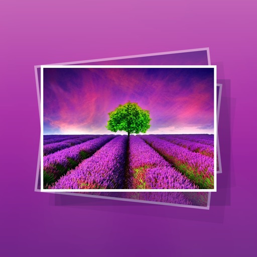 Flower Gallery Pro icon