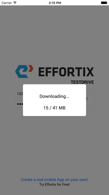 Effortix TestDrive