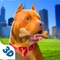 Icon Dog Life - Pitbull Sim
