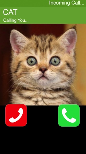 Call Cat 2(圖4)-速報App