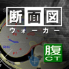 Ryo Matsuda - 断面図ウォーカー腹部CT アートワーク