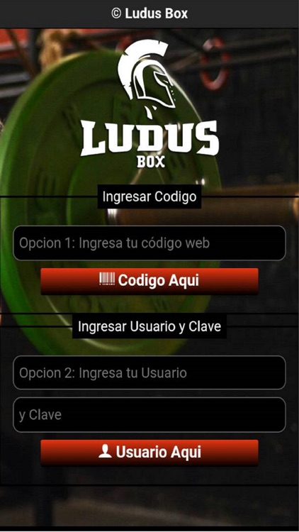 Ludus Box Crossfit