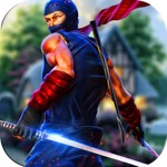 Shadow Sword Fight Simulator