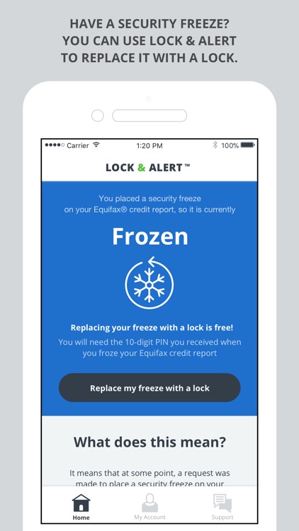 Lock & Alert™ screenshot-3