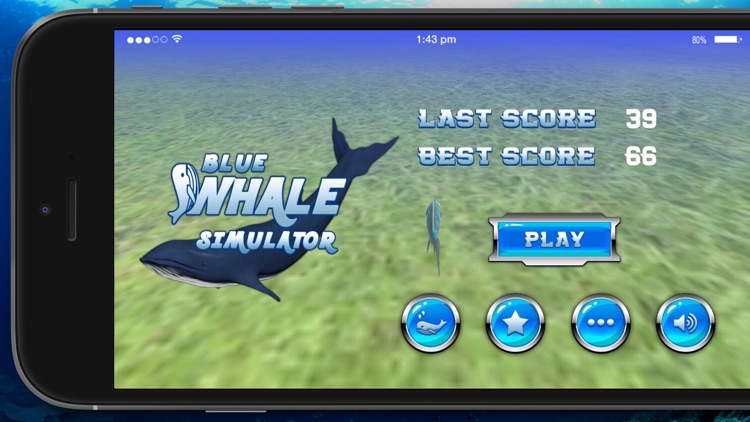 Blue Whale Simulator