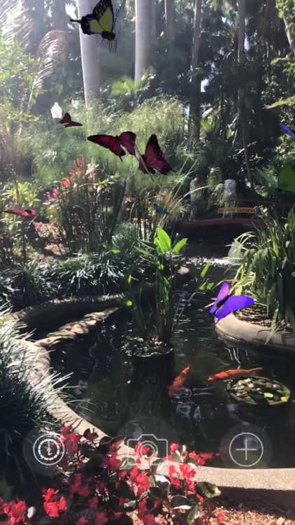 AR Butterflies