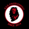 ASD CALCIO CIAKULLI MILAN ACADEMY