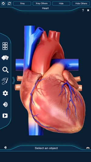 My Heart Anatomy(圖2)-速報App