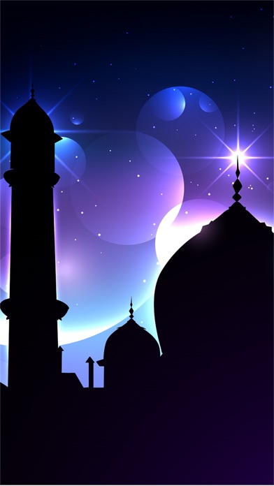 AMEEN Project Muslim Community screenshot 4