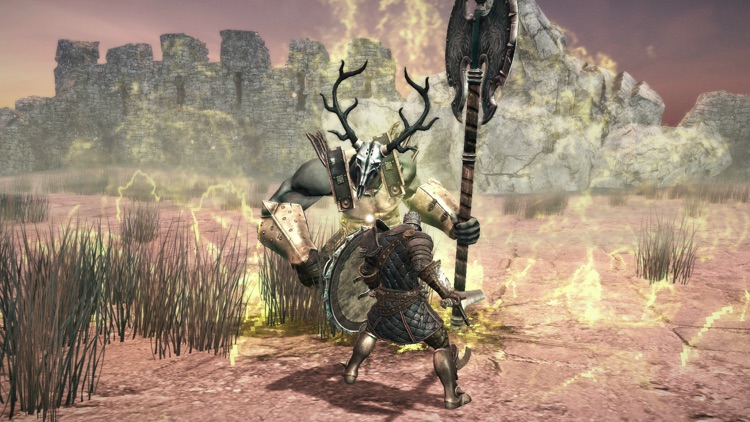 Animus - Stand Alone screenshot-0