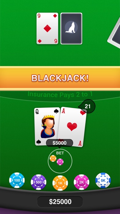 Blackjack Winner screenshot 2