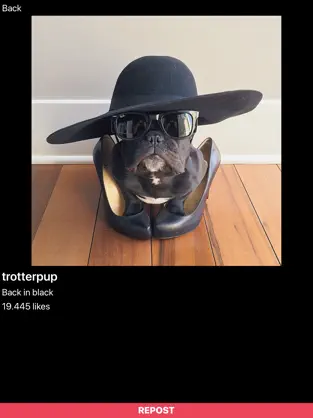 Imágen 2 Repostly InSaver Story Repost iphone