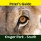 A detailed guide to the Kruger National Park 