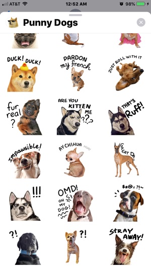 # Punny Dogs Animated Stickers(圖7)-速報App