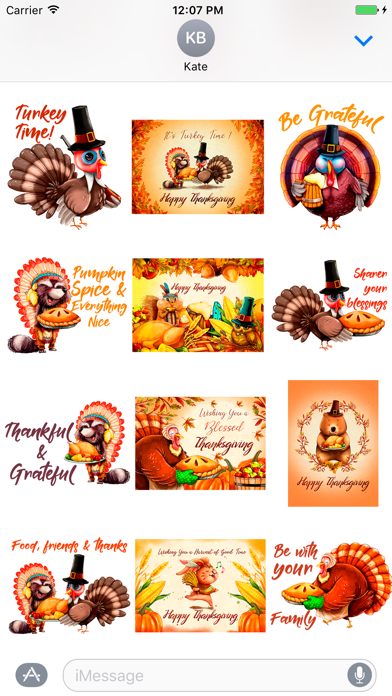 It's Turkey Time! Thanksgiving screenshot 3
