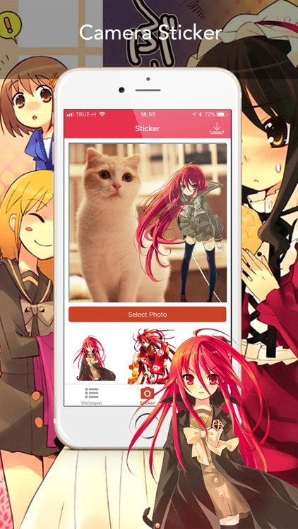 Shana Wallbook Anime