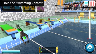 Freestyle Swimming Race 3D screenshot 2