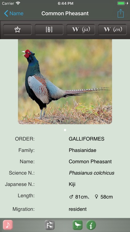 Japanese Birds screenshot-4