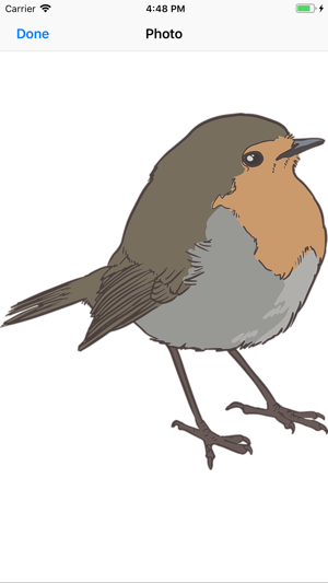 Bitty Bird Stickers(圖3)-速報App