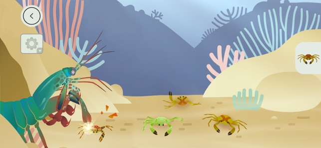 Tinybop出品的《珊瑚礁》(圖3)-速報App