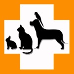Pets Veterinary Records
