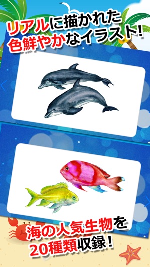 みんなの海の生き物カード をapp Storeで