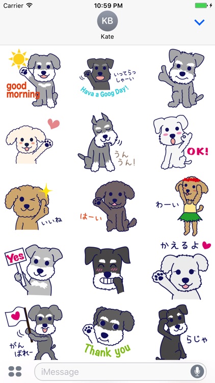 Schnauzer and Toypoodle Stickers