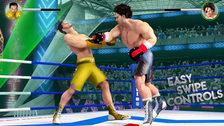 Boxing KO: The Career Boxer