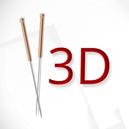 Acupuncture3D