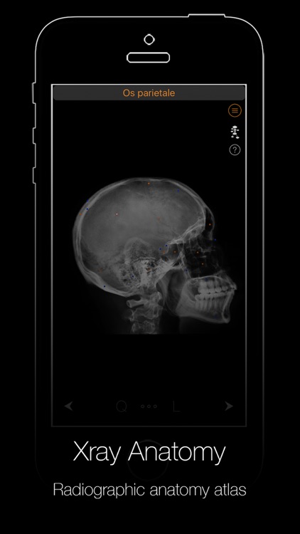 Xray Anatomy screenshot-4