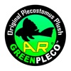 PlecoGreen