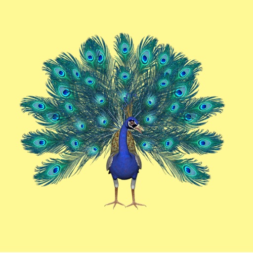 Pretty Peacock Stickers icon