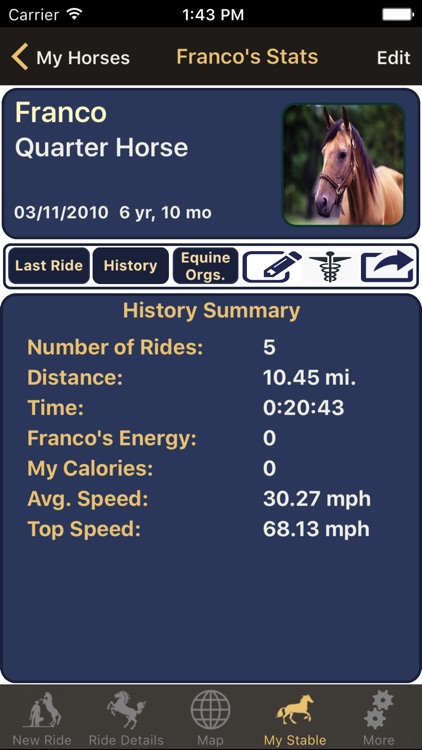 EquiTrack - Equine Training Assistant