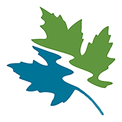 Česká Kanada živě