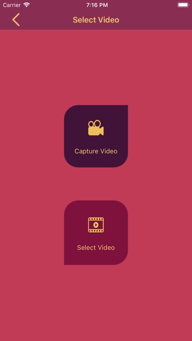 Video Changer - Reverse, Merge screenshot 2