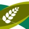 The MyCrop Pulses App is a one stop shop for your lupin and field pea agronomy needs