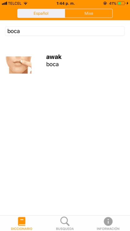 Diccionario Traductor Ayuuk screenshot-4