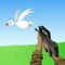 iBirds Hunter is a very easy and funny Game 