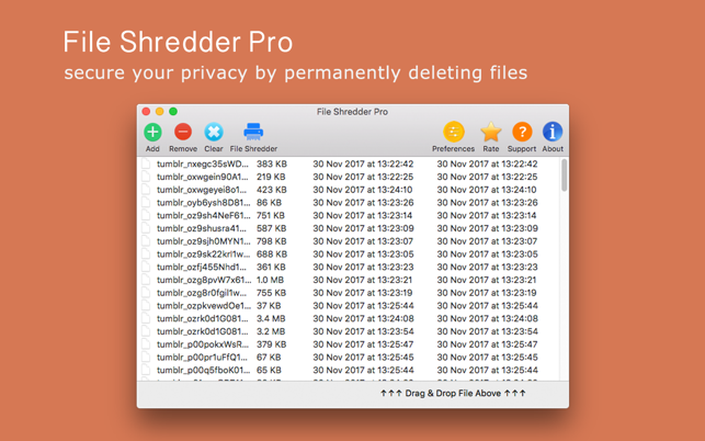 File Shredder Pro